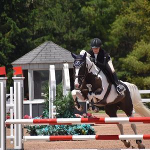 Meet your Posher, Maddie